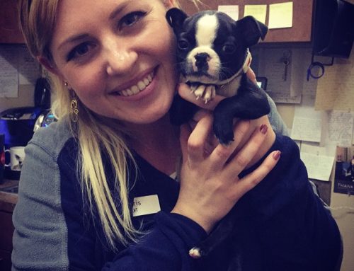 Superstar in the Spotlight: Meet Christine Grego, LVT